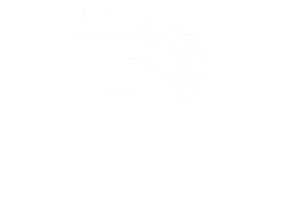 The Digital Consultant Logo